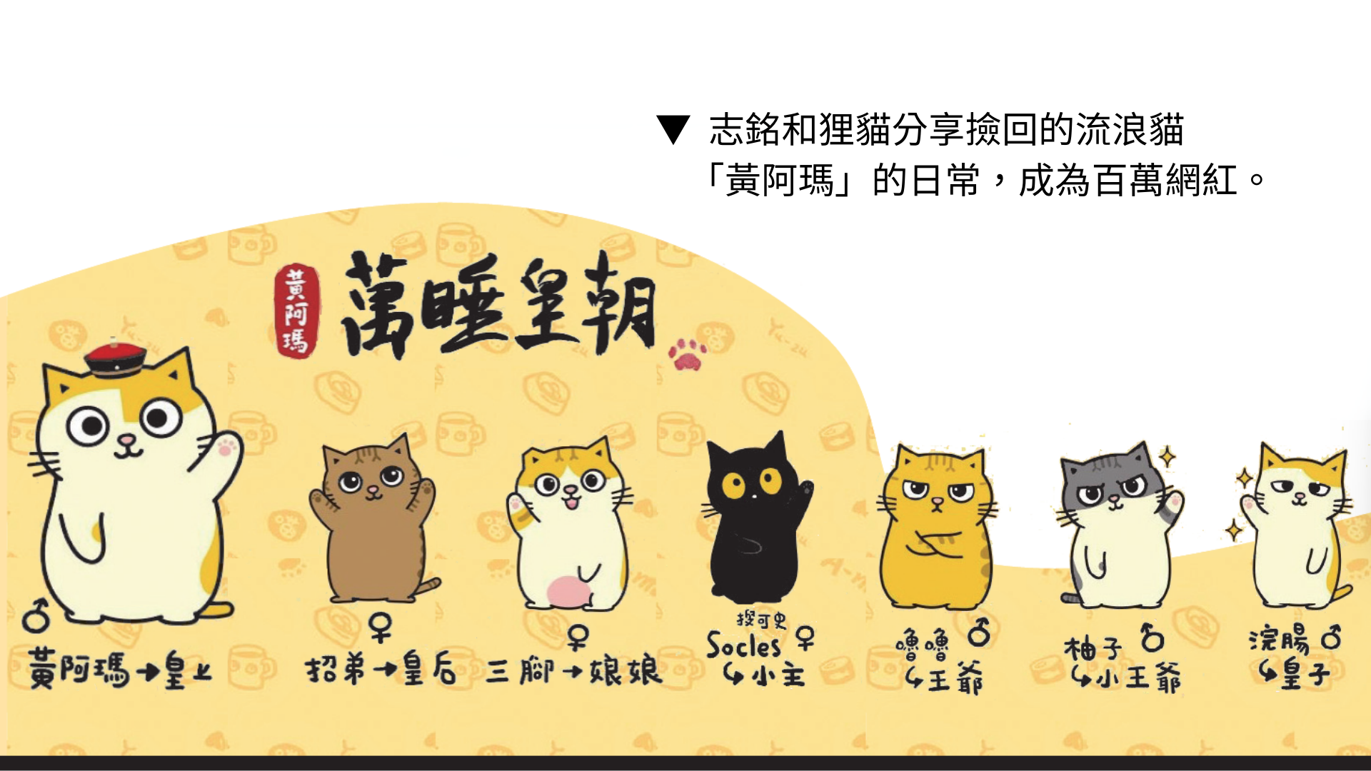 8311d992b7aa.png